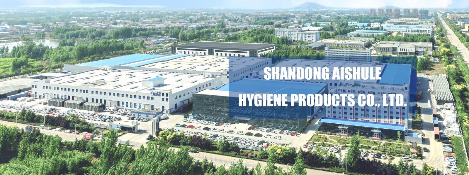 quality Adult Disposable Diaper factory