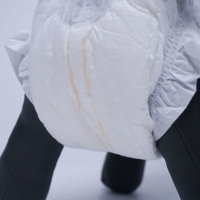 Harga yang bagus Popok Anjing Betina 12pcs Sekali Pakai Non Woven Fabric Ukuran Kustom on line