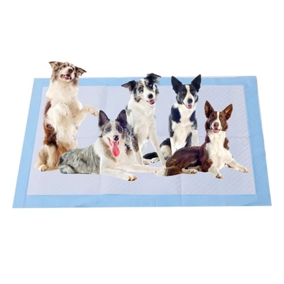 Good price Super Absorbent Anti Slip Dog Training Pads Wholesale online