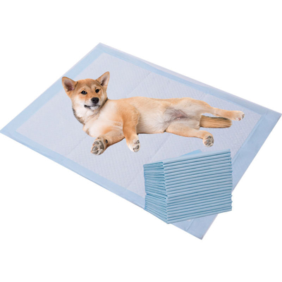 Good price Customizable Degradable Pet Training Pads for Dogs Cats online