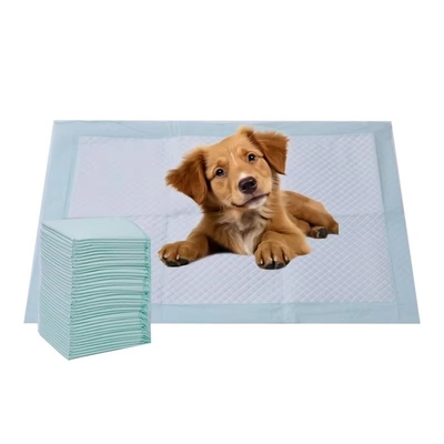 Good price Disposable Super Absorbent Puppy Training Pads Customized Pee Pad For Large Dogs online