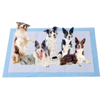 Bom preço Tapetes Higiênicos Descartáveis para Cães - Absorção Rápida - 45x60cm 60x60cm 60x90cm on-line